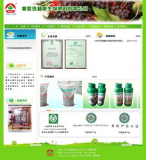 楊康生物攜手秦皇島市創(chuàng)想信息網(wǎng)絡(luò) 智能化生產(chǎn)制造與客戶展示新篇章